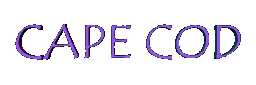 Cape Code Blue.gif (47502 bytes)