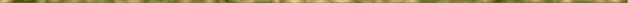 gold skinny bar.gif (660 bytes)