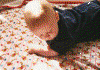 Zach Crawling.gif (173091 bytes)